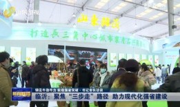 临沂一中爆料新闻事件视频