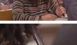 史上最新爆料小绿屋是谁,史上最新爆料，小绿屋究竟是谁？